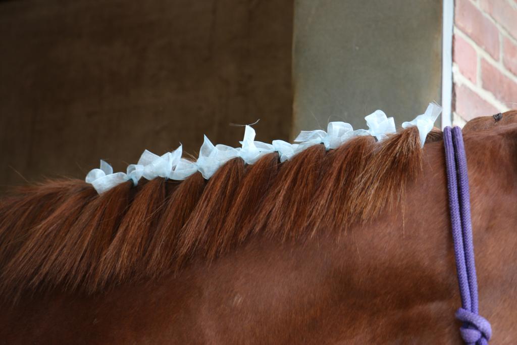 Little Red's ribbons. 